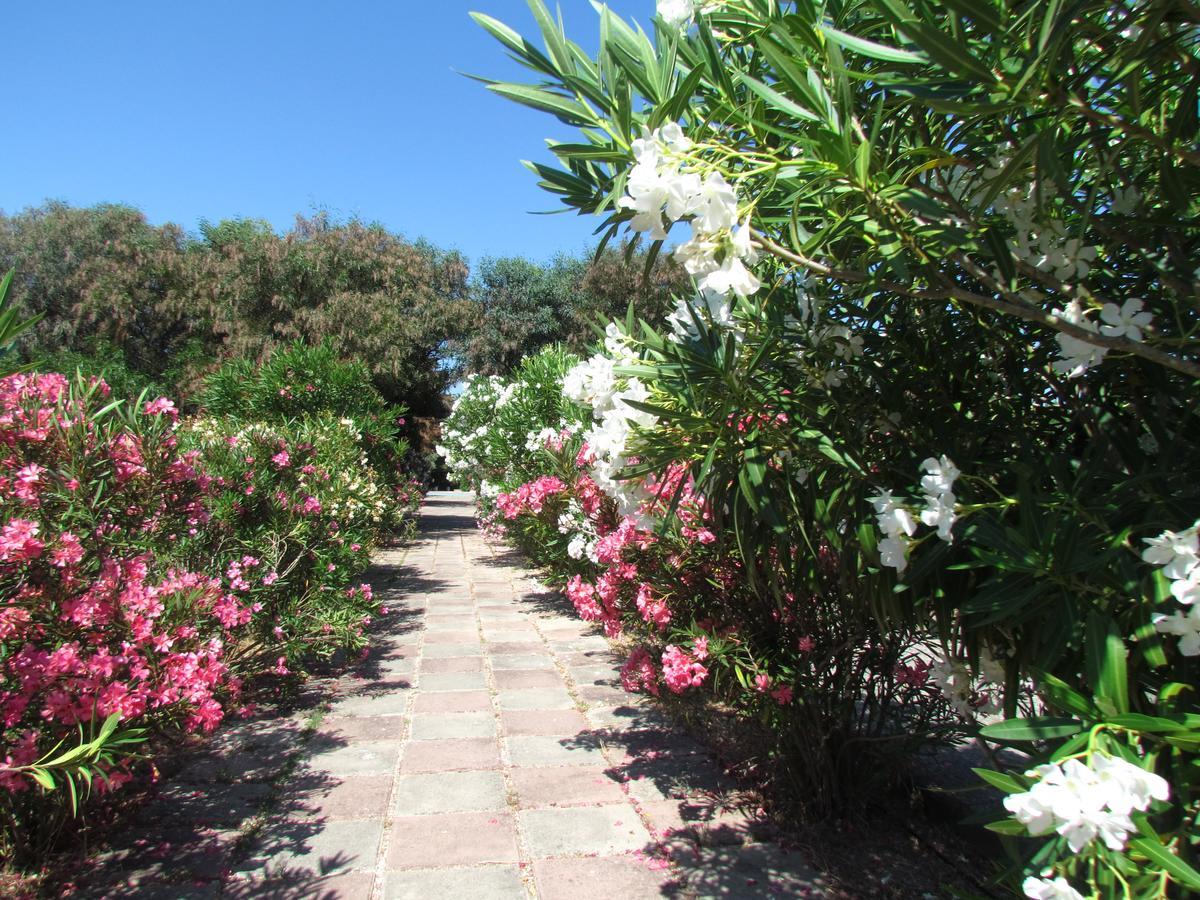 Camping Baia Paradiso Badesi Buitenkant foto